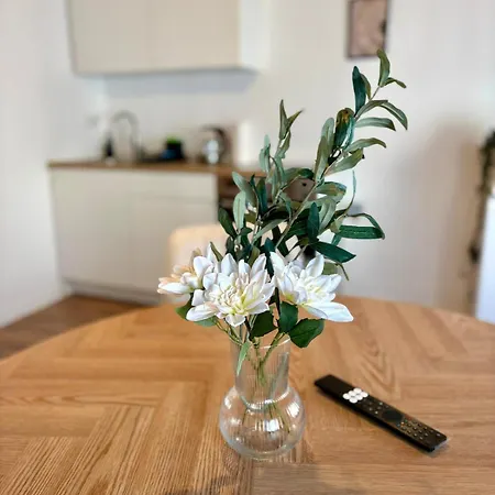 Geräumiges Monteurapartment 1 In Mit Parkplatz